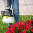Sun Joe 24V-GS-LTW 24-Volt* IONMAX Multi-Purpose Chemical Sprayer Kit | W/ 1.3-Ah Battery + Charger