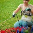 Sun Joe 24V-GS-LTW 24-Volt* IONMAX Multi-Purpose Chemical Sprayer Kit | W/ 1.3-Ah Battery + Charger