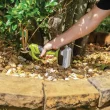 Sun Joe 24V-HT-PRN-LTE 24-Volt* Cordless Handheld Hedger + Pruner | W/ 2.0-Ah Battery + Charger