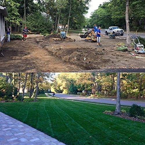 Barenbrug Turf Saver RTF Grass Seed w/Yellow Jacket Coating- Less Water Self-Repairing Tall Fescue Turf (50 LB Bag) Barenbrug Turf Saver RTF Grass Seed w/Yellow Jacket Coating- Less Water Self-Repairing Tall Fescue Turf (50 LB Bag) - Image 3