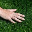 Hancock Seed Co. Common Bermuda Grass Seed - Coated & Unhulled, 50 lbs.