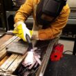 Forney 251 Easy Weld 20 P Plasma Cutter - Portable and Versatile Cutting Tool for Precise Metal Cutting Forney 251 Easy Weld 20 P Plasma Cutter - Portable and Versatile Cutting Tool for Precise Metal Cutting