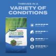 Scotts Turf Builder Grass Seed Sun and Shade Mix with Fertilizer and Soil Improver, Thrives in Many Conditions, 32 lbs.