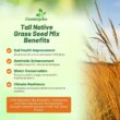 Outsidepride Perennial Tall Native Grass Seed Mix - 25 lbs. Blend of Drought-Tolerant, Low-Maintenance Bluestem