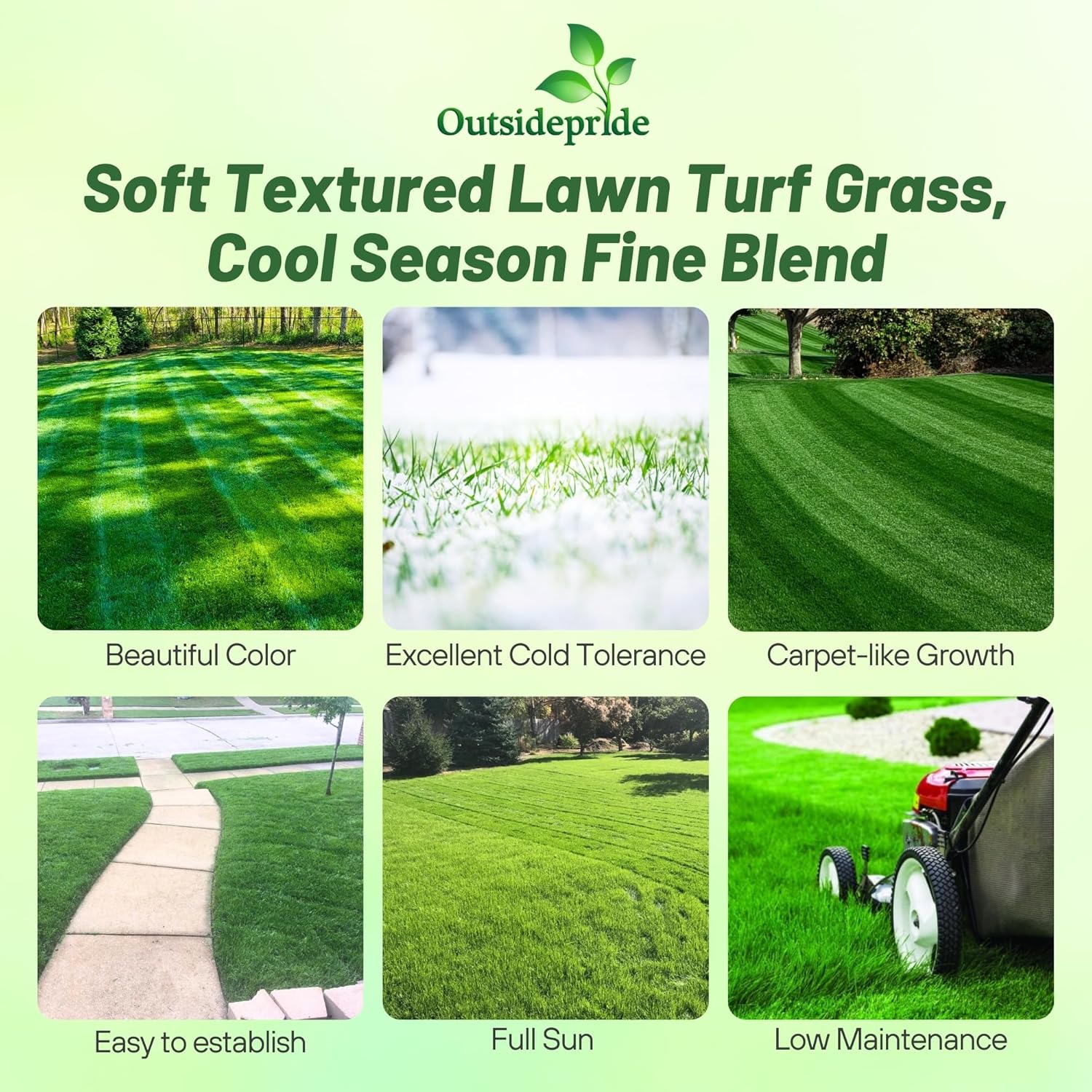 Outsidepride Midnight Kentucky Bluegrass Seed - 50 Lbs. Cold & Drought Tolerant, Sun-Loving Lawn Grass Seed Outsidepride Midnight Kentucky Bluegrass Seed - 50 Lbs. Cold & Drought Tolerant, Sun-Loving Lawn Grass Seed - Image 8