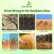 Outsidepride Perennial Tall Native Grass Seed Mix - 25 lbs. Blend of Drought-Tolerant, Low-Maintenance Bluestem