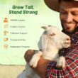 Outsidepride Perennial Tall Native Grass Seed Mix - 25 lbs. Blend of Drought-Tolerant, Low-Maintenance Bluestem