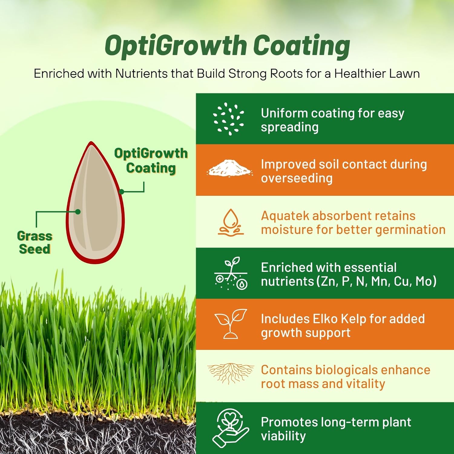 Outsidepride Midnight Kentucky Bluegrass Seed - 50 Lbs. Cold & Drought Tolerant, Sun-Loving Lawn Grass Seed Outsidepride Midnight Kentucky Bluegrass Seed - 50 Lbs. Cold & Drought Tolerant, Sun-Loving Lawn Grass Seed - Image 5
