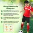 Outsidepride Midnight Kentucky Bluegrass Seed - 50 Lbs. Cold & Drought Tolerant, Sun-Loving Lawn Grass Seed Outsidepride Midnight Kentucky Bluegrass Seed - 50 Lbs. Cold & Drought Tolerant, Sun-Loving Lawn Grass Seed