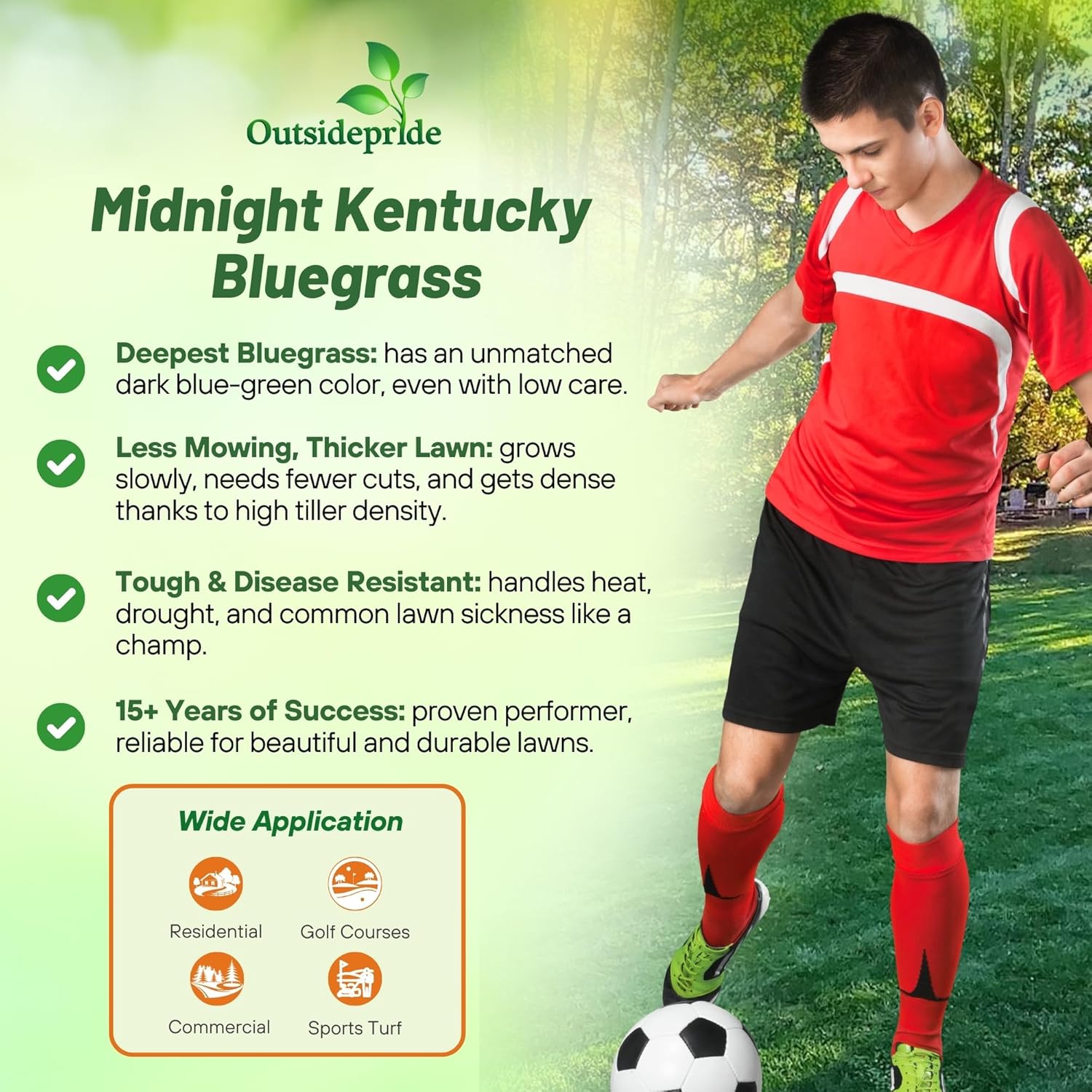 Outsidepride Midnight Kentucky Bluegrass Seed - 50 Lbs. Cold & Drought Tolerant, Sun-Loving Lawn Grass Seed Outsidepride Midnight Kentucky Bluegrass Seed - 50 Lbs. Cold & Drought Tolerant, Sun-Loving Lawn Grass Seed - Image 7