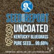 Blue Eagle Kentucky Bluegrass Seed, 25LB Bulk Bag, Uncoated & No Fill, Grow Beautiful & Best Yards, Cold Tolerant