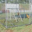 PawHut Chicken Activity Play with Swing Set for 3-4 Birds, Wooden Chicken Coop Accessory with Multiple Chicken Perches & Hen Ladder Gray