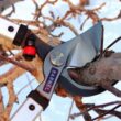BARNEL USA 36 in. Professional Orchard By-Pass Lopper