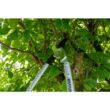 Berger 5 in. Lopper Shears, Bypass with Cork Handles