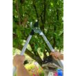 Berger 5 in. Lopper Shears, Bypass with Cork Handles