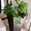 XBRAND 30 in. Tall Modern Square Planter, Tapered Floor Planter for Indoor and Outdoor, Patio Decor, Set of 2, Black