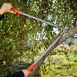 Corona ClassicCUT 4 in. Forged Steel Blade with Lightweight Steel Core Handles Bypass Lopper