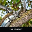 Corona ClassicCUT 4 in. Forged Steel Blade with Lightweight Steel Core Handles Bypass Lopper