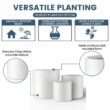 Sapcrete 10in., 13in., 16in. Dia Crisp White Extra Large Tall Round Concrete Plant Pot / Planter for Indoor & Outdoor Set of 3 Sapcrete 10in., 13in., 16in. Dia Crisp White Extra Large Tall Round Concrete Plant Pot / Planter for Indoor & Outdoor Set of 3
