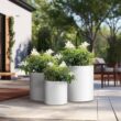 Sapcrete 10in., 13in., 16in. Dia Crisp White Extra Large Tall Round Concrete Plant Pot / Planter for Indoor & Outdoor Set of 3 Sapcrete 10in., 13in., 16in. Dia Crisp White Extra Large Tall Round Concrete Plant Pot / Planter for Indoor & Outdoor Set of 3