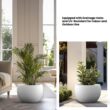 Sapcrete Lightweight 19in. x 13in. Crisp White Extra Large Tall Round Concrete Plant Pot/Planter for Indoor & Outdoor