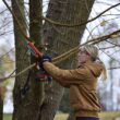 ECHO 56V 6 in. Brushless Cordless Battery Powered Handheld Mini Pruning Chainsaw Kit with 2.5Ah Battery and Compact Charger