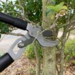 ECHO Anvil Loppers with High Carbon Steel Blades