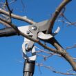 ECHO Bypass Loppers with High Carbon Steel Blades