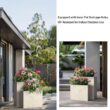 Sapcrete Modern 16 in., 24 in. High Large Tall Elongated Square Light Gray Outdoor Cement Planter Plant Pots Set of 2