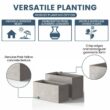 Sapcrete Modern 12 in., 16 in. High Large Tall Elongated Square Light Gray Outdoor Cement Planter Plant Pots Set of 2