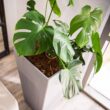 XBRAND 30 in. Tall Modern Square Planter, Tapered Floor Planter for Indoor and Outdoor, Patio Decor, Set of 2, Gray
