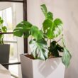 XBRAND 30 in. Tall Modern Square Planter, Tapered Floor Planter for Indoor and Outdoor, Patio Decor, Set of 2, Gray
