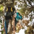 Makita LXT 14 in. 18V X2 (36V) Lithium-Ion Brushless Battery Top Handle Chain Saw (Tool-Only)