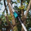 Makita 40V max XGT Brushless Cordless 10 in. Pole Saw, 8 ft. Length (Tool Only)