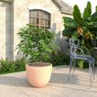 Leisuremod Dahlia Modern 21.5 in. Terracotta Fiberstone and Clay Tapered Round Planter for Indoor and Outdoor