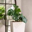 XBRAND 30 in. Tall Modern Square Planter, Tapered Floor Planter for Indoor and Outdoor, Patio Decor, Set of 2, White