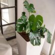 XBRAND 30 in. Tall Modern Square Planter, Tapered Floor Planter for Indoor and Outdoor, Patio Decor, Set of 2, White