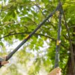 WOODLAND TOOLS 24 in. Heavy-Duty Extendable Lopper