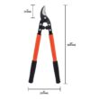 Zenport 20 in. Professional Vine and Light Tree Loppers (P14-50)