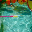 Easton Hype Fire Pool Party 2¾
