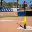 Easton ADV 360 USA Youth Bat (-10)