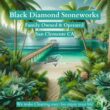 Black Diamond Nex-Gen Natural Stone Penetrating Sealer: Seals & Protects; Granite, Marble, Travertine, Limestone, Concrete, Grout, Tile, Brick, Block & Slate Floors, Patios. Case of 4- Gallons