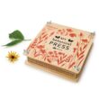 Tender Leaf Toys - My Botanical Press - 8.3 x 8.3 Inch 10 Layers Flower Press - Age 3+