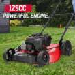 Powersmart 21" 125cc Gas Push 2-1 Lawn Mower w/ Briggs & Stratton 300E Engine B8721C Powersmart 21" 125cc Gas Push 2-1 Lawn Mower w/ Briggs & Stratton 300E Engine B8721C