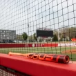 Easton Ghost Advanced Fastpitch Bat (-10) 2026, 30/20