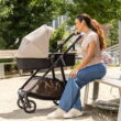 Evenflo Omni Signature Travel System with LiteMax infant Car Seat (Porto Black)