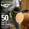 Greenworks 40V 14