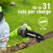 Greenworks 24V 8