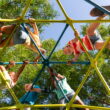 Lifetime Kid's Outdoor 7 ft. 3 in. H and 7 ft. 9 in. W Metal Climbing Tower, Blue and Lime Green (90994) Lifetime Kid's Outdoor 7 ft. 3 in. H and 7 ft. 9 in. W Metal Climbing Tower, Blue and Lime Green (90994)