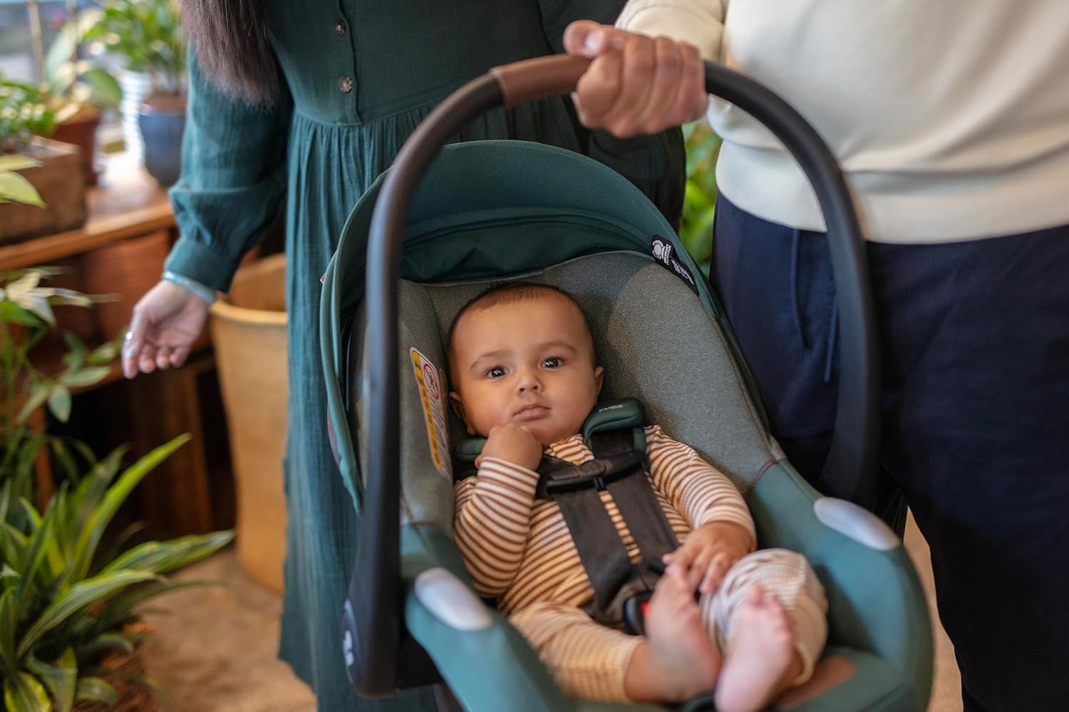 Maxi-Cosi's Mico Luxe+ Baby Car Seat: Infant Car Seat with Base and Versatile Baby Carrier Seat Functionality, Essential Green Maxi-Cosi's Mico Luxe+ Baby Car Seat: Infant Car Seat with Base and Versatile Baby Carrier Seat Functionality, Essential Green